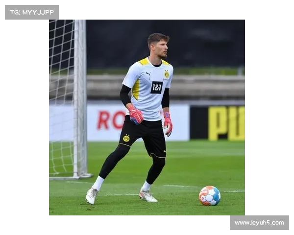 德甲下赛季将试点门线技术辅助系统，减少判罚误差